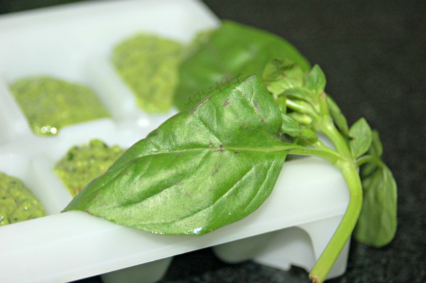 Basil and Spinach Pesto  Freeze for Later